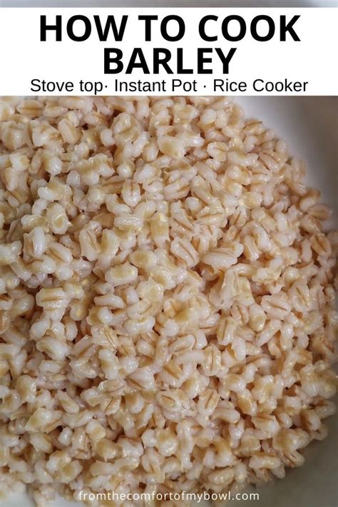 How To Cook Barley Rice Cooker Recipes Healthy Rice Cooker Recipes