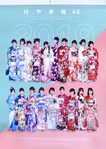 駿河屋 けやき坂46 2019年度壁掛けカレンダー ファンクラブ会員限定（写真集系）