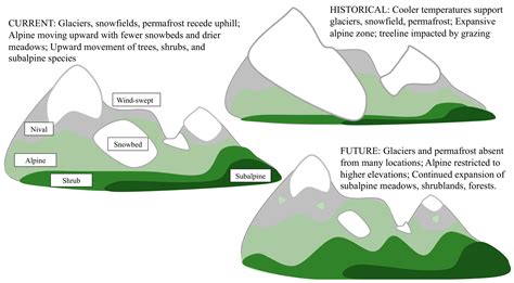Climate Change, Ecosystem Processes and Biological Diversity Responses
