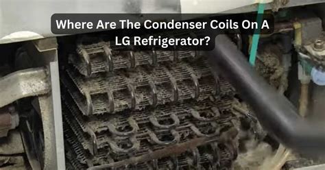 Where Are The Condenser Coils On A LG Refrigerator?