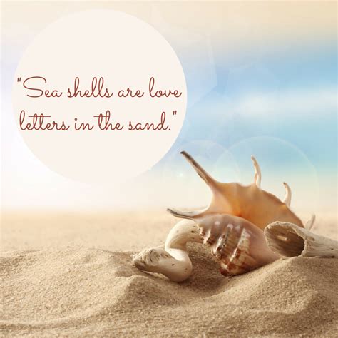 199 Beach Quotes For People Who Love The Sand And The Sea Artofit