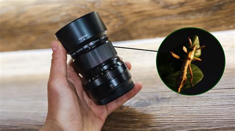 Fujifilm XF30mm F 2 8 R LM WR Macro Hands On Review Digital Camera World