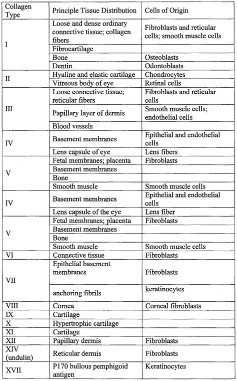 Collagen Types Chart