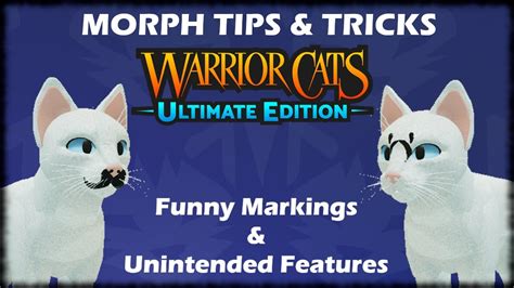 Warrior Cats Ultimate Edition Roblox Morph Ideas