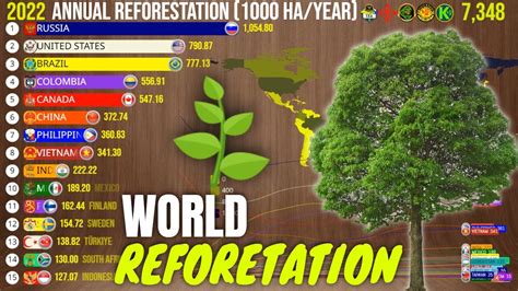 The Countries That Reforest the Most in the World 🌳 - YouTube