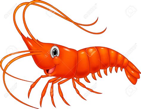 Cute Shrimp Cliparts Free Download On Clipartmag