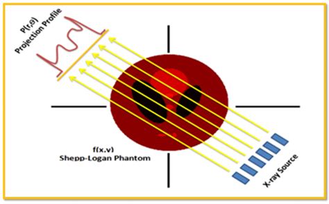 4: Tomographic reconstruction experimental setup [7]. The mathematical ... 