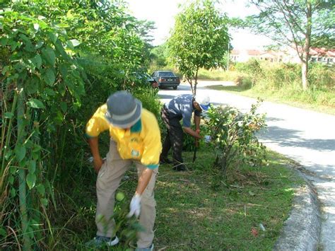 Aktiviti Gotong Royong Di Taman Utama Jake McGrath