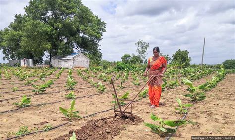 How Women Farmers Are Helping Transition To Natural Farming In Andhra Pradesh