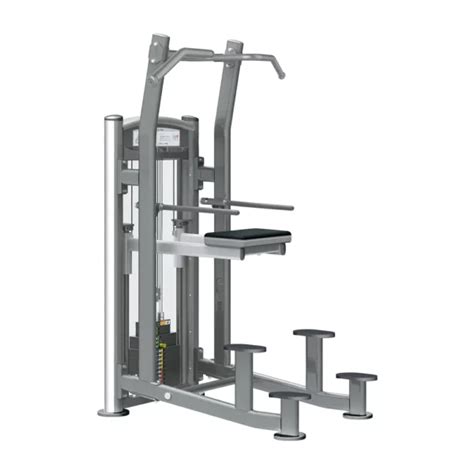 Impulse Weight Assisted Chindip Combo Grays Fitness