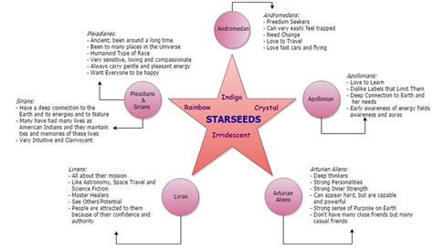 Starseed Markings Reading (Adult) - campestre.al.gov.br