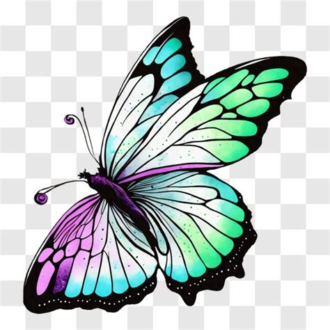 Descarga Hermosa Mariposa Con Alas Moradas Azules Y Verdes PNG En