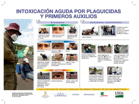 Intoxicacion Aguda Por Plaguicidas Y Primeros Auxilios Pronagro Sag