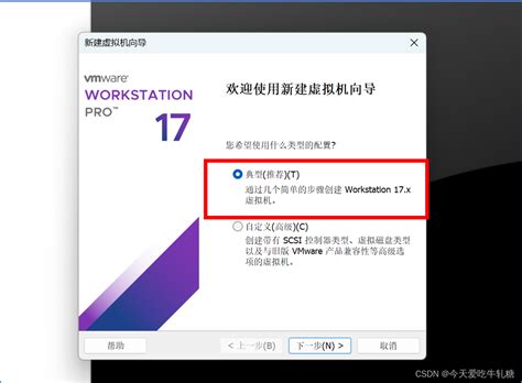 用VMware Workstation 17 Pro 安装openEuler 详细教程 vmware workstation pro17 CSDN博客