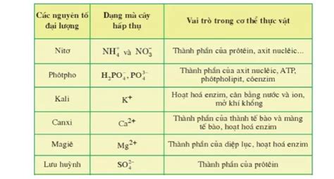 2 Nguyên tố đa lượng là gì Vai trò của nguyên tố đa lượng là gì