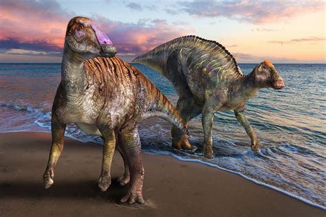 Newly Discovered Species Shows What It Was Like During Japans Dinosaur