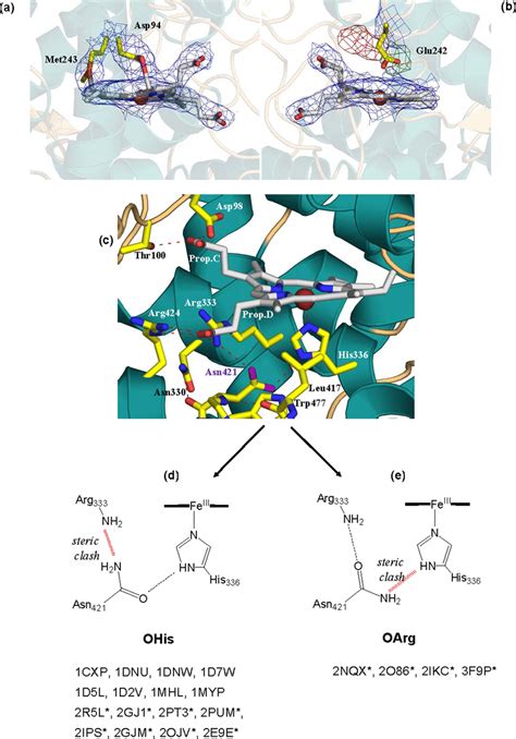 Heme to protein linkages and heme environment in hMPOm. Two views of ...