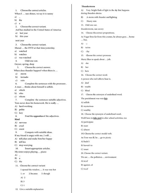 Choose The Correct Articles | PDF