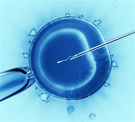 The Nhs Is Prioritising Ivf For Single Women Trans Men And Lesbians