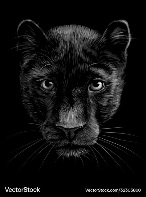 Panther artistic black and white portrait Vector Image