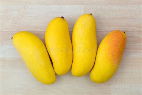 De Regenboogmango Van Maha Chanok Hybride Fruit Tussen Zonsondergang