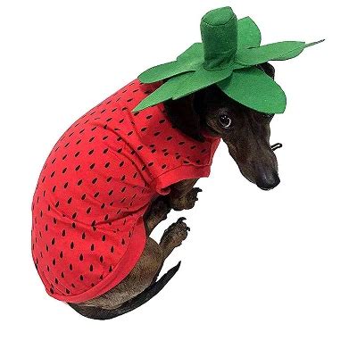 Midlee Strawberry Dog Halloween Costume (medium) : Target