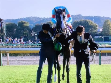 今日のジャパンカップは必見‼️世界最強馬イクイvs牝馬三冠リバティ世紀の対決 天涯孤独男のつぶやき！