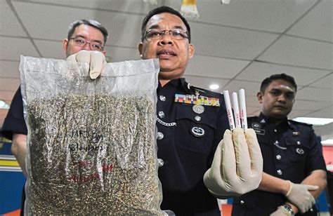 Penang Cops Bust Drugs Syndicate The Star