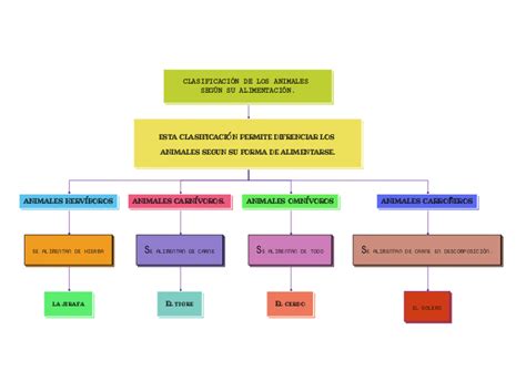 CLASIFICACIÓN DE LOS ANIMALES SEGÚN SU ALI Mind Map