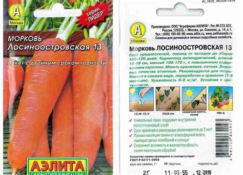 Сорта моркови: лучшие семена для Сибири, самые урожайные и морозостойкие