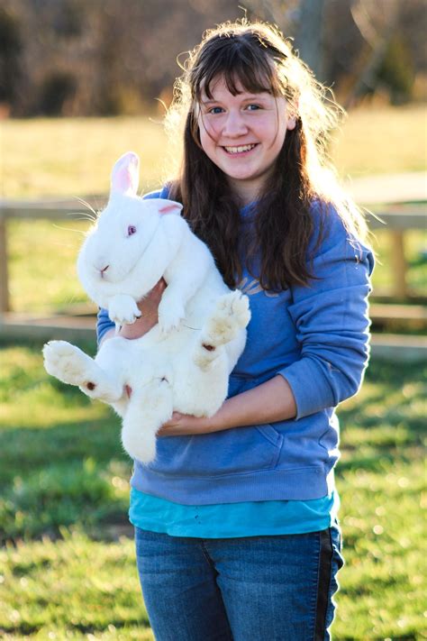 Flemish Giant Lifespan 2