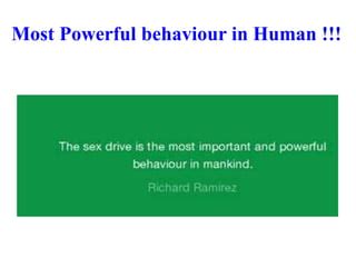 Decreased Libido Low Sex Drive Pptx