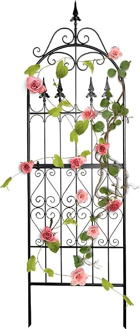 Amazon SCENDOR TRELLIS