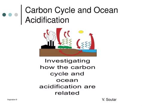 PPT - Carbon Cycle and Ocean Acidification PowerPoint Presentation ...