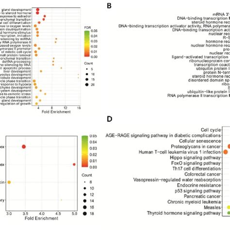 Kegg Pathway Enrichment Analysis And Go Functional Enrichment Analysis Download Scientific