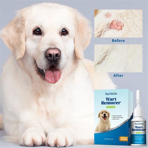 Dog Wart Remover Natural Dog Wart Removal Treatment Rapidly