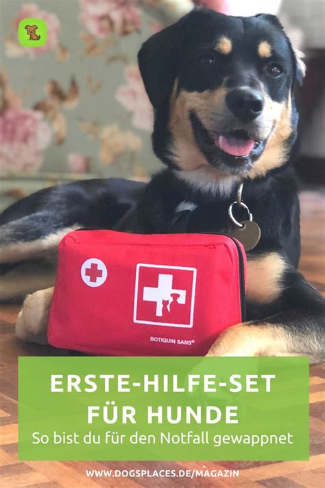 Erste Hilfe Set für Hunde in 2023 Erste hilfe Erste hilfe set Hunde