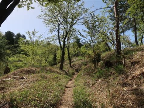 比丘尼の丘・雨生山反射板を歩きました。その1（4月13日） こりんの遊び部屋part2