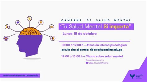 Charla Tu Salud Mental Si Importa Youtube