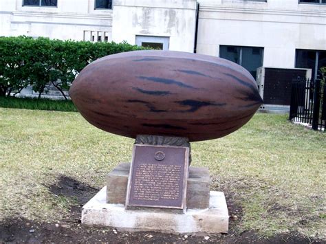 Seguin Tx Worlds Oldest Largest Pecan There Are Now Larger Pecan