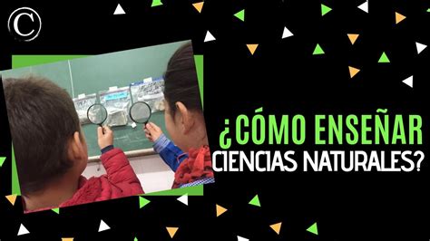 Cómo enseñar Ciencias naturales Propuestas didácticas para Ciencias