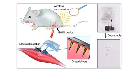 Implantable Electronic Medicine Enabled By Bioresorbable Microneedles