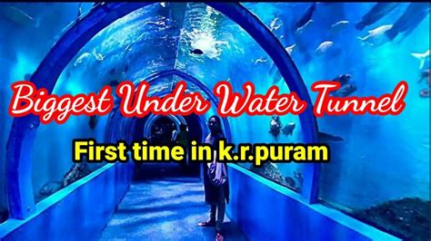 Biggest Under Water Aquarium Tunnel🐟🐬🦈🐠 First Time In Bangalore In K