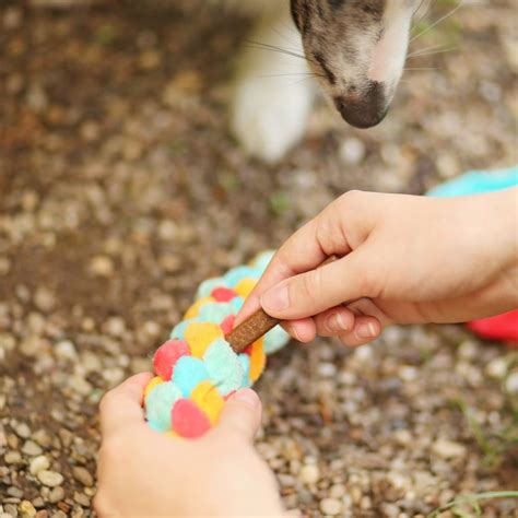 Hundespielzeug Selber Machen Zergel DIY Kullaloo