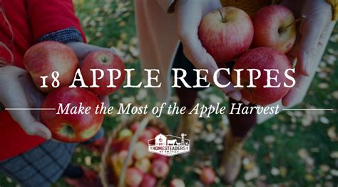 18 Apple Recipes: Make the Most of the Apple Harvest - Homesteaders of ...