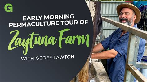 Early Morning Permaculture Tour Of Zaytuna Farm Youtube