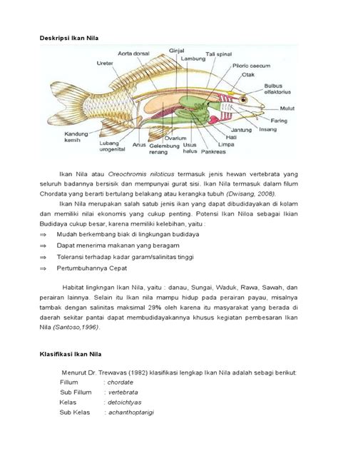 Deskripsi Ikan Nila Pdf