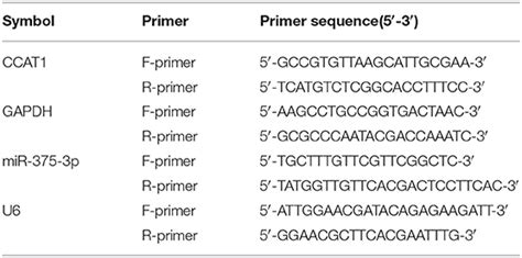 Frontiers The Reciprocal Interaction Between LncRNA CCAT1 And MiR 375