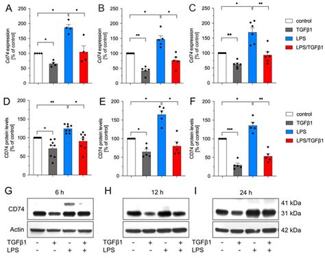 TGFβ1 inhibits LPS mediated upregulation of Cd74 in BV2 cells