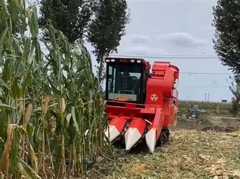 Corn Combine Harvester China Crawler Tractors Klaas Shandong